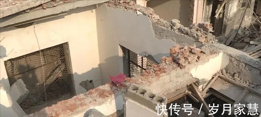 青苗|又要征地了!上海此地新建道路,征收土地4282.6平方米