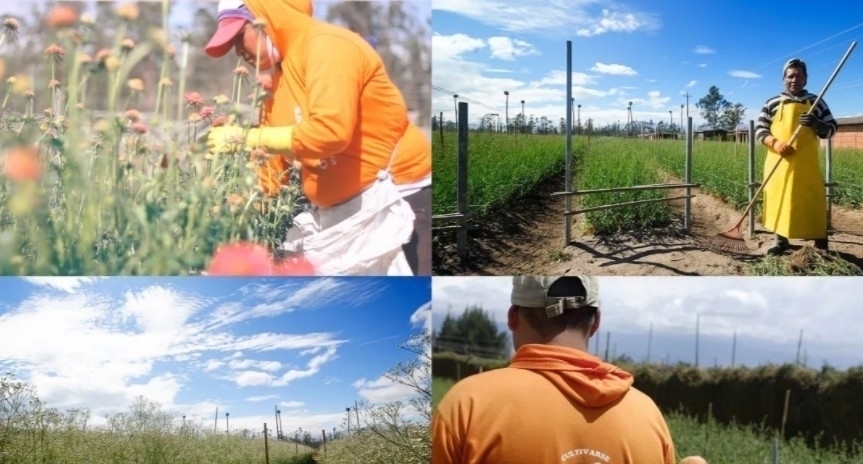 树叶$他拿花瓣、树叶随便一剪一贴就卖23万!网友:买过的人都说“值”