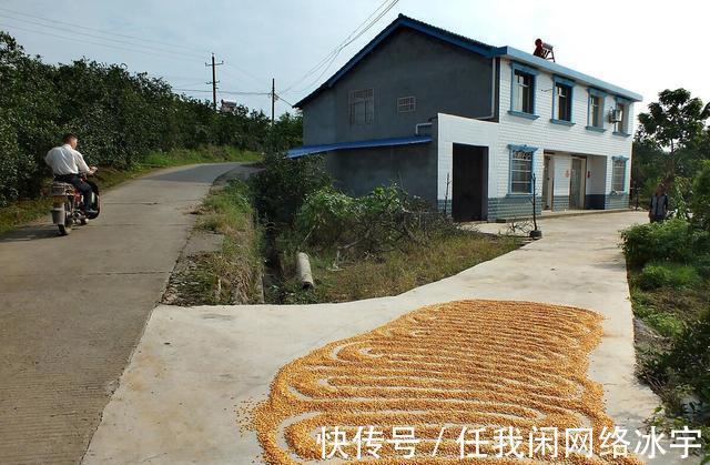 土地|农村公共用地日渐减少,学校、水塘等被违规占用,如何解决