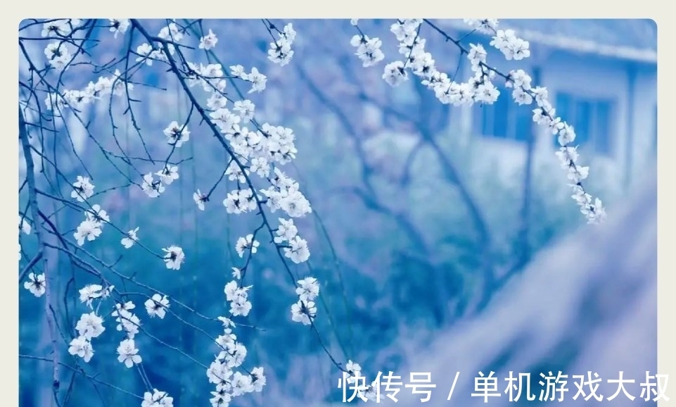 胭脂铅粉#明冬素润,千山暮雪,护月云轻,嫩冰犹薄