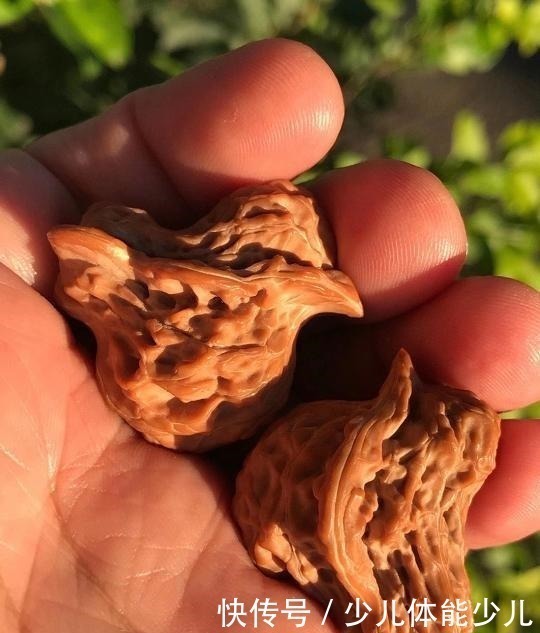 尺寸|文玩核桃盘玩,女士该如何选择!