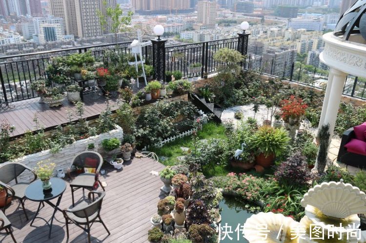 花草|历时一年,在31楼打造300㎡“屋顶花园”,如今美成了仙境