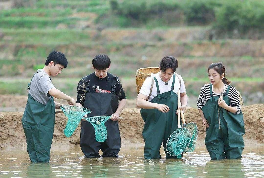 从《跑男》到《向往的生活》,繁盛的遮羞布下,国内综艺一片狼藉