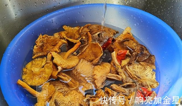 农村岳父寄来一大袋菌菇干,炒了一盘晒朋友圈火了,电话响个不停!