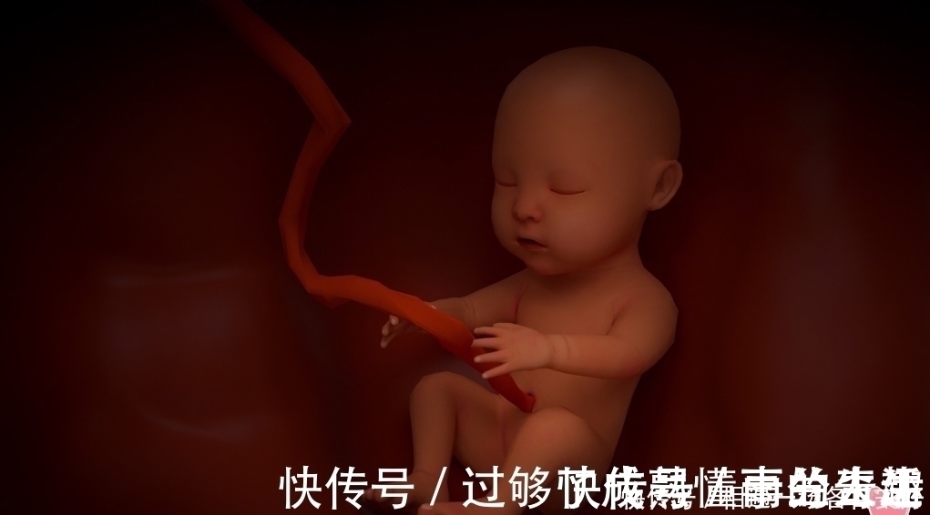 饮食量|为什么准妈妈的肚子会时大时小,有时还“左右不对称”?原因有五