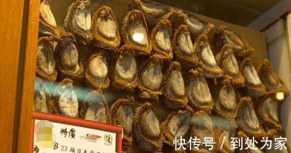 海產(chǎn)品|真正鮑魚(yú)中的幾頭鮑是什么樣的？