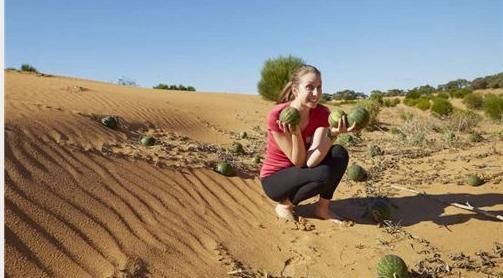 当地人|在沙漠里见到西瓜,为啥游客渴死也不吃当地人吃了就麻烦了