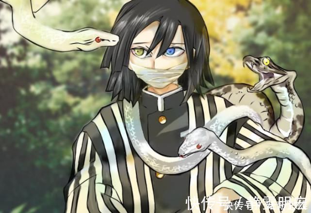 陈列品|鬼灭之刃:真实“九柱”图火了,大哥真身猫头鹰,又被迫害了