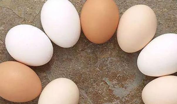 错过|鸡蛋什么时候吃最好错过这个时间,吃再多都没用