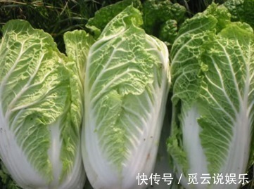 中毒|长寿老人从来不吃的几种食物,有很多人傻傻还在吃,特别是它!