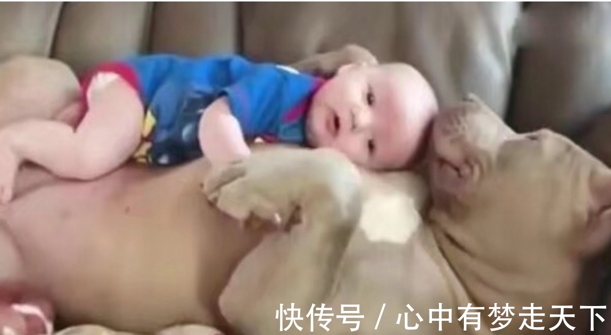 宝宝|夫妻俩一觉醒来发现宝宝不见了,看向客厅中笑了