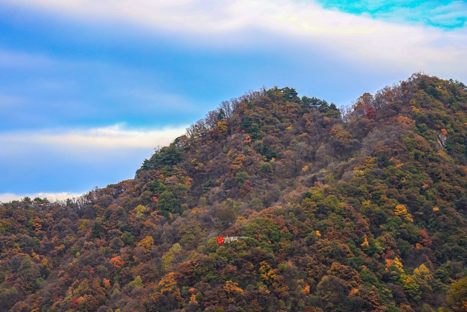 铁顶太兴山，号称终南第一峰险过华山，我用七个小时带你走完全程