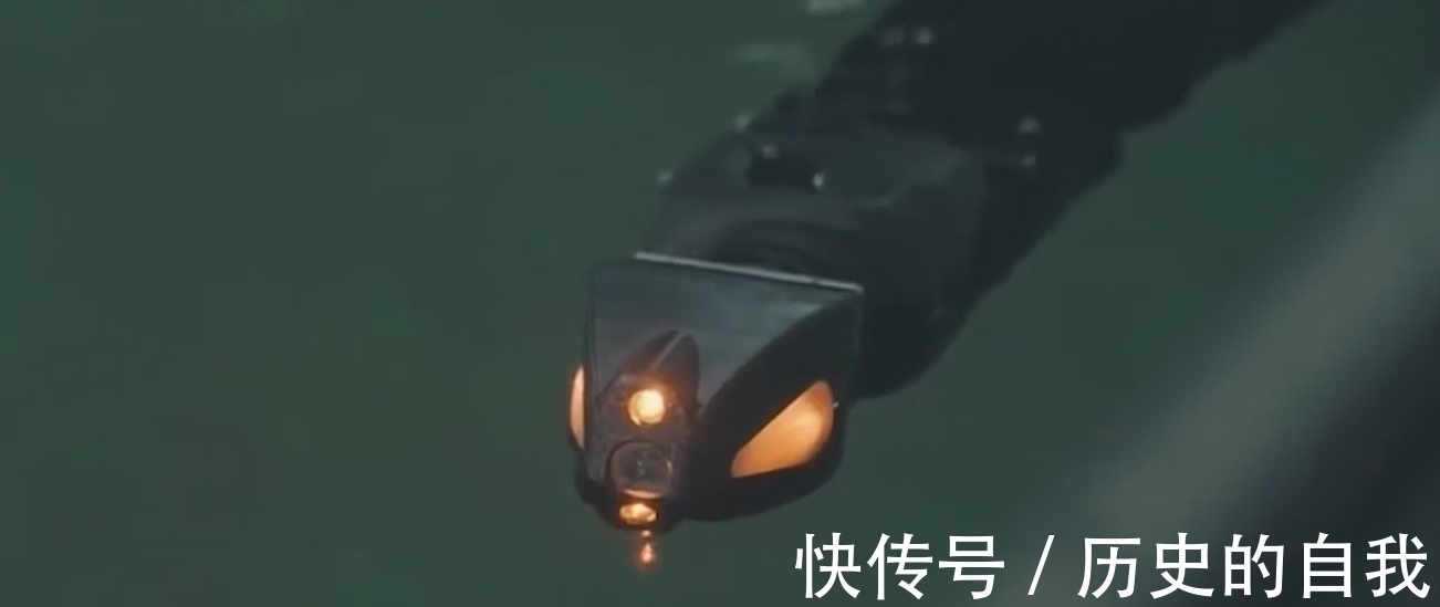 mini|三款AI智能仿生机器人,网友:未来智能,令人恐惧