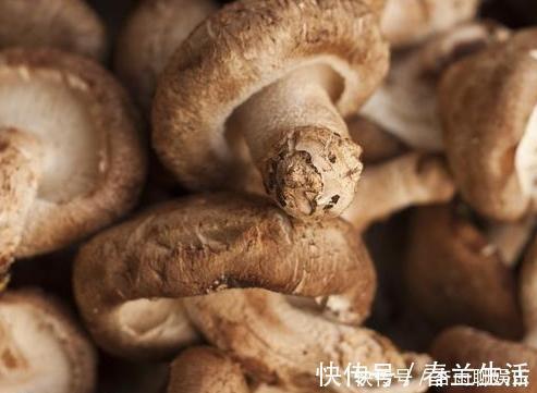 买香菇时,别只会挑个头大的,学会3个小技巧,保证新鲜又好吃