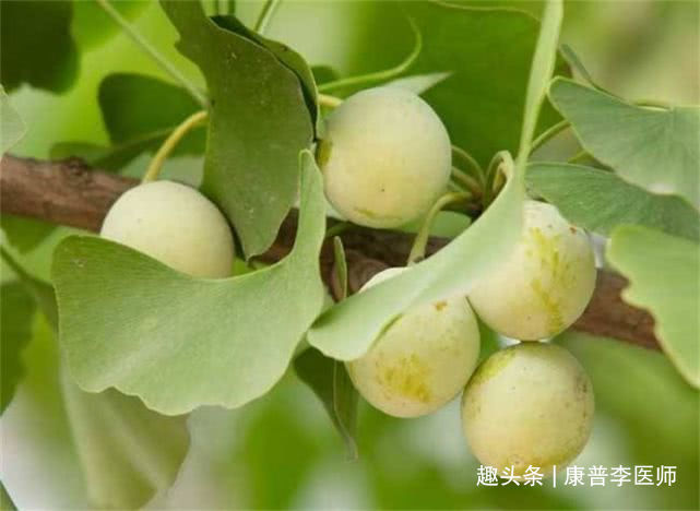 食物|推荐几种好吃的食物,排毒养颜,补血美容,改善便秘,有利健康