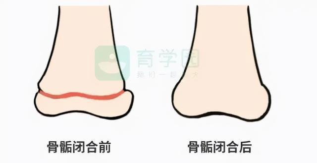 睡眠时长|孩子长高,千万不要「揠苗助长」!做好这4点,宝宝身高更优秀