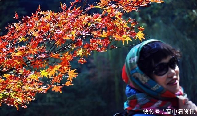 泰戈尔最美的诗句,人世间最美的心情,文学中最美的语言