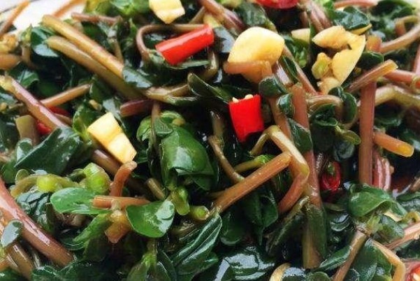 马齿苋|有白头发先别染发!马齿苋加一宝,仅需15天变黑发,还有惊喜变化