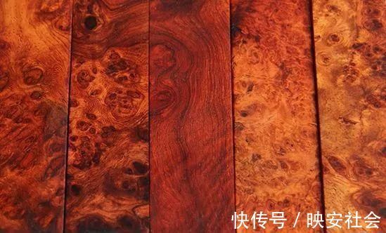 花梨木|缅甸花梨(大果紫檀),这匹“黑马”竟具备六大优点!