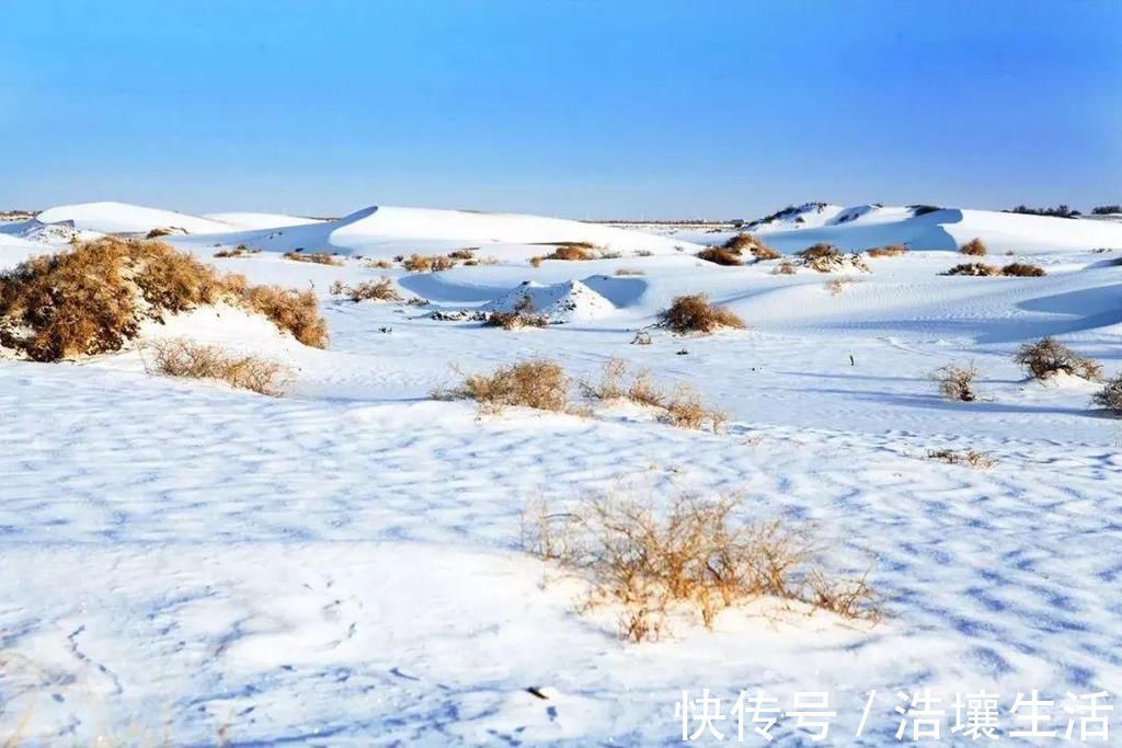 征蓬|隐匿在沙漠的秘境盛景，雪后美过了胡杨林！