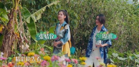 周迅夠特別，錄《向往4》換了5套造型，穿4萬(wàn)多大牌外套干農(nóng)活