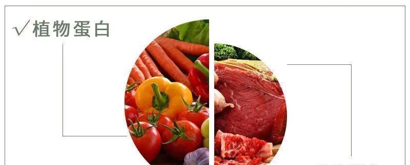 张大爷|98岁高寿老人每天坚持3件事,不招疾病,他的长寿秘笈,值得借鉴