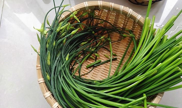 楼道|7月就要吃这菜，鲜嫩清脆，简单一炒，香味飘满楼道，邻居都说香