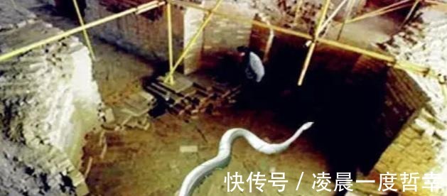 白素贞|白素贞“真实”存在雷峰塔倒塌几十年后,在塔下发现一相关秘密