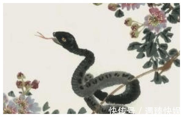 天生福泽|农历几月出生的属蛇人，2021年财运不愁，贵人支持，事业鲤跃