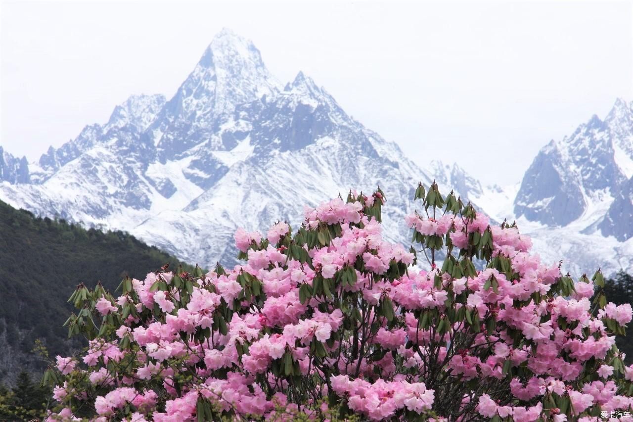 雪山|世界之大，为何独看贡嘎！蜀山之王——木雅贡嘎雪山！