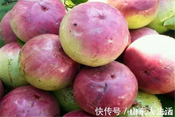 身体|对身体最好的3种食物,镇静安神,利水消肿,好吃又不贵