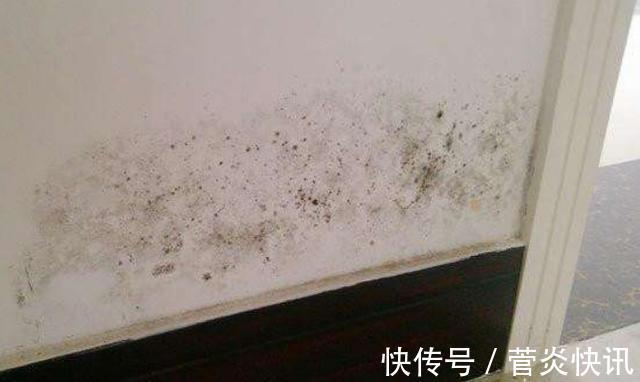 秋季墙面怎么保养3种常见“症状”，对症下药巧上家居美容课