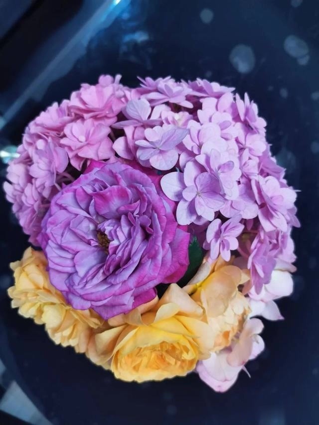 圆滚滚的绣球，瀑布般的花墙，这届花友也太会种花了吧