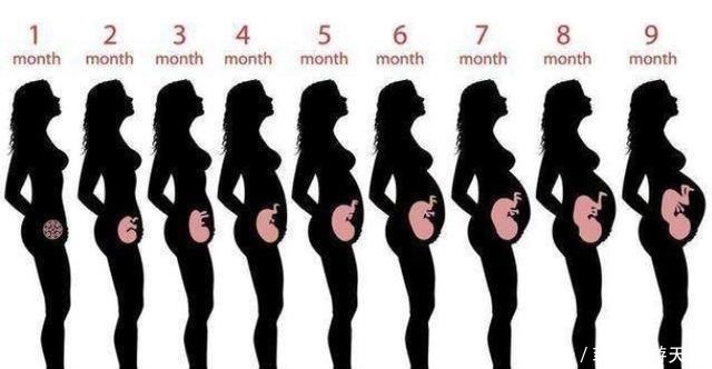 肚子|准妈妈肚子何时“偷偷”变大的孕期是否显怀，跟4个因素有关