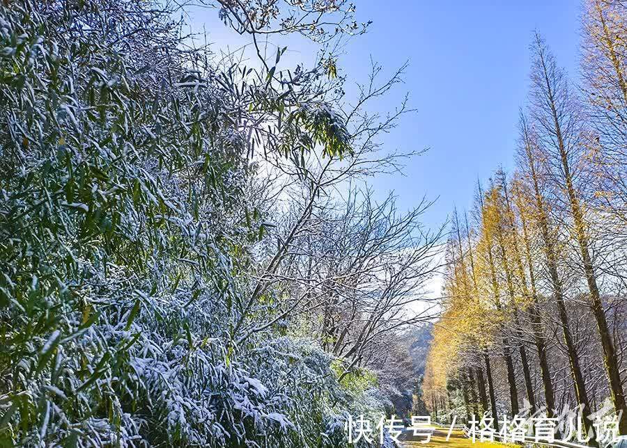 第一场雪|大围山迎来今冬第一场雪