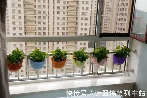 阳台党的烦恼,没有院子,只能挖空心思养花
