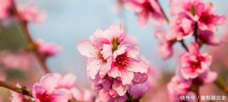 白居易很有哲理的一首诗,看似写得很普通,但读来令人赞叹不已!