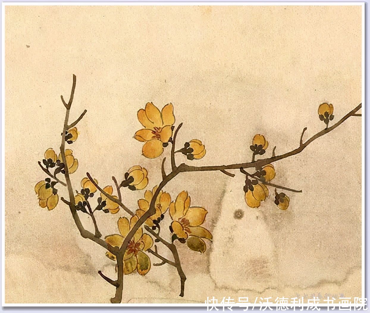 画菊|没骨百花图欣赏，美到骨子里