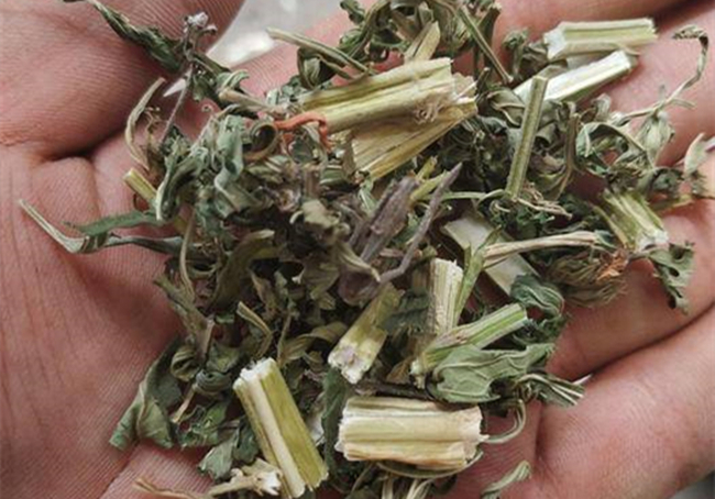 血瘀|病从血瘀生,十女有九淤!三个宝贝活血化瘀,美容养颜,值得一试