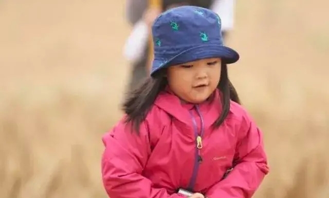 《爸爸去哪兒》播出8年,三對夫妻最后離婚了,受傷的卻都是孩子