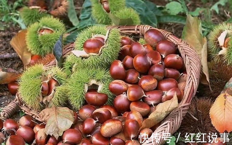 冬瓜|深秋了,记得要“多吃3瓜3果”,低脂营养又润肺,应季而食身体棒!