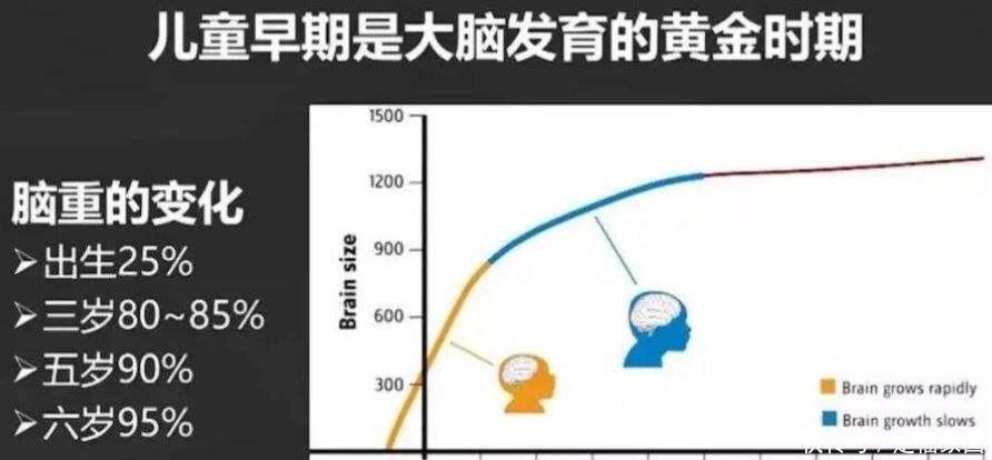 神经元联结|哈佛研究：在宝宝3岁之前，多接受以下“刺激”，能促进大脑发育