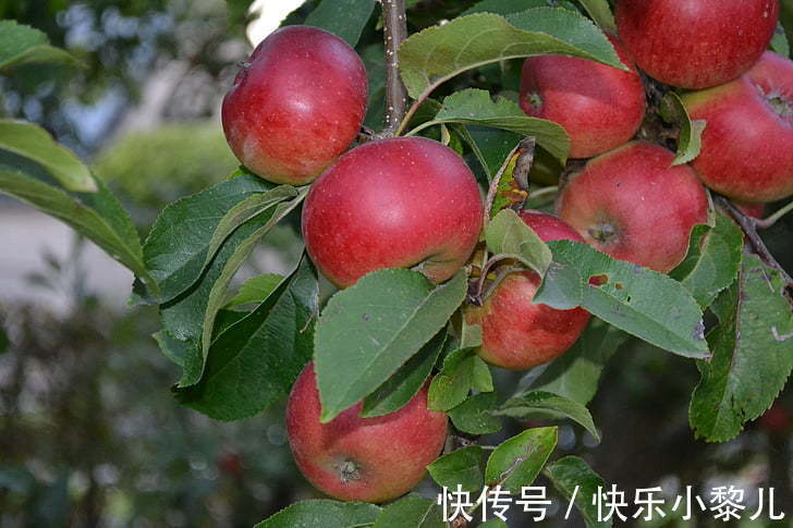 运势|熬过1月份以后,运势会继续上升,日子越来越美好的生肖