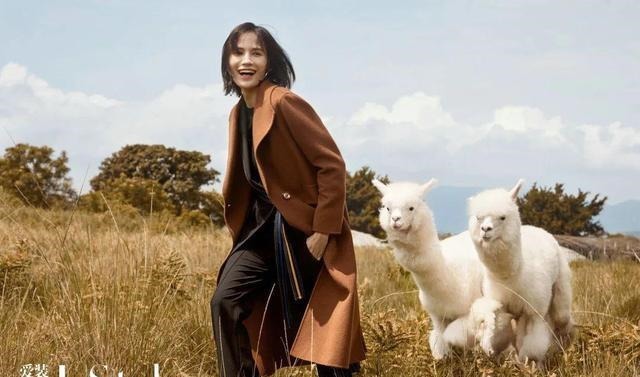 羊驼绒 这件羊驼绒大衣,比拥抱更暖!