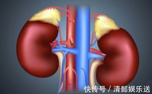 男人|肾好的男人,早上起床后,一般会有4个好习惯,能占1个也不错