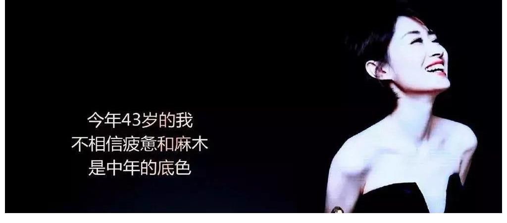 沙溢|刘敏涛“翻车”了?张嘉译联手沙溢,新剧收视夺冠,女主却被骂惨