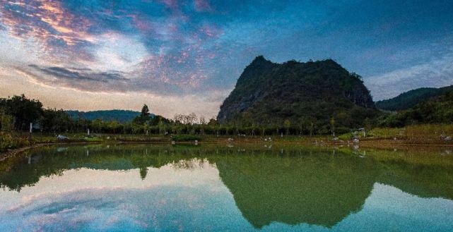 超好看!大片花海惊艳绽放,就在三明这个地方!