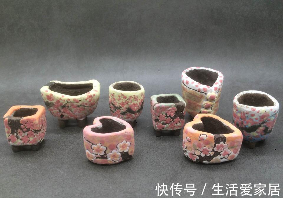 能把拇指多肉养活养好，那你离大神就不远了