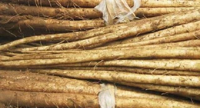 牛蒡|此物能生紫色小果,被称“东洋参”,乡下很常见,却被人当成野草