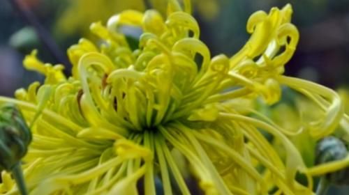 延缓衰老|聪明女性都在吃3种食物，排毒养颜，延缓衰老，早吃早健康！